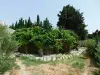 Maison d'hôte -  avec SPA exterieur - à vendre à Perpignan (8).webp